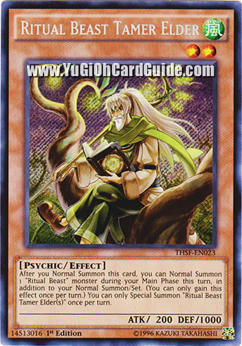 Yu-Gi-Oh Card: Ritual Beast Tamer Elder