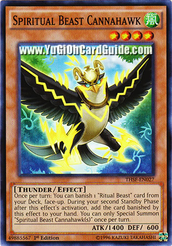 Yu-Gi-Oh Card: Spiritual Beast Cannahawk
