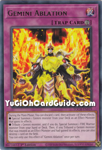 Yu-Gi-Oh Card: Gemini Ablation