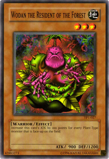 Yu-Gi-Oh Card: Wodan the Resident of the Forest