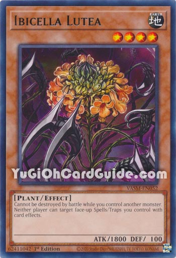 Yu-Gi-Oh Card: Ibicella Lutea