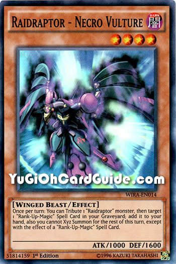 Yu-Gi-Oh Card: Raidraptor - Necro Vulture