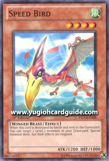 Yu-Gi-Oh Card: Speed Bird